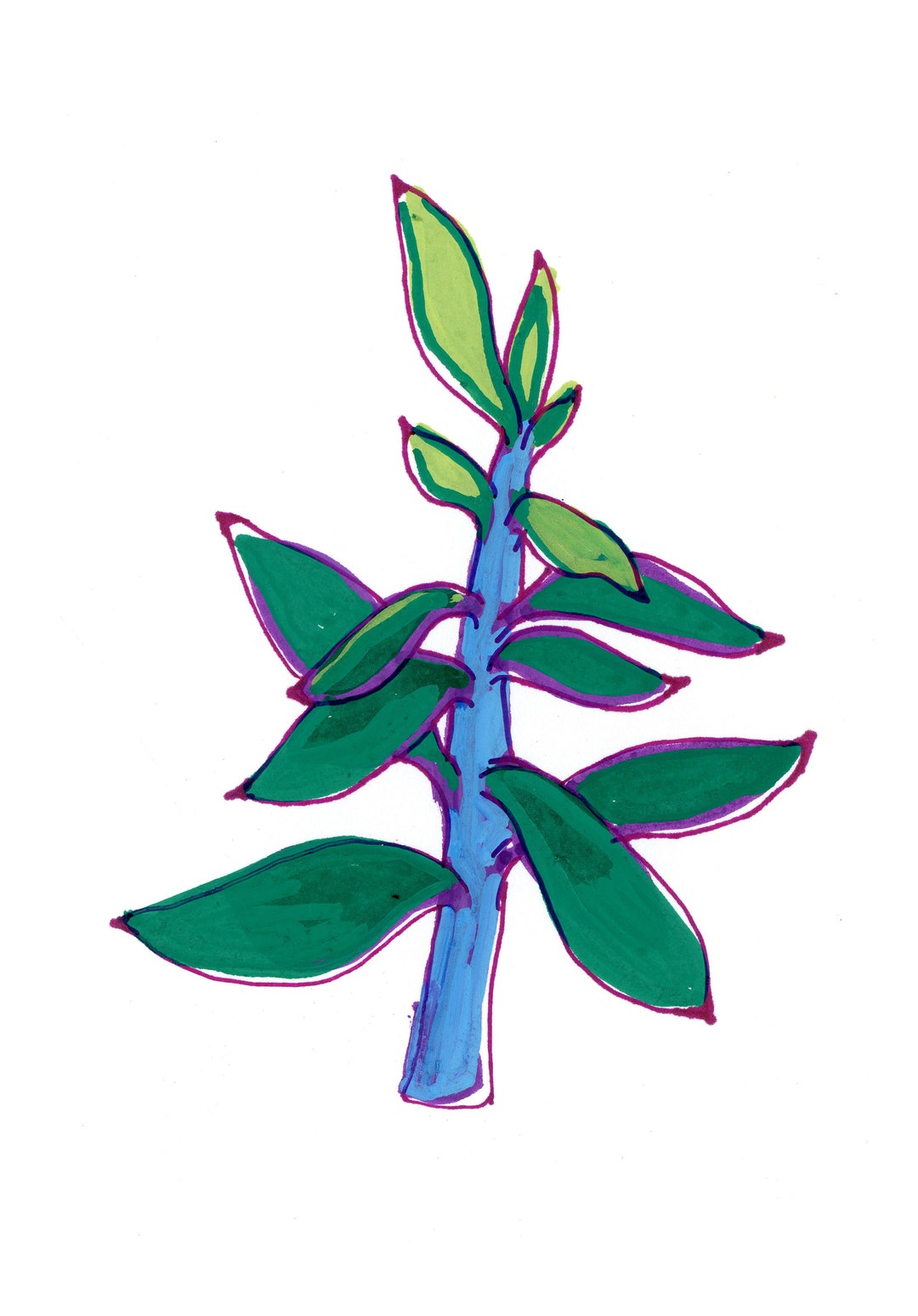 Lavender Steps Plant Digital Download - Etsy