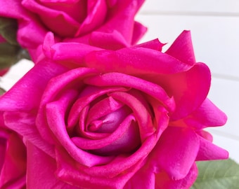 Real touch rose stem /hot pink rose/ latex rose/ 1 head Per Stem/wedding/wedding flowers/ decor/ artificial rose