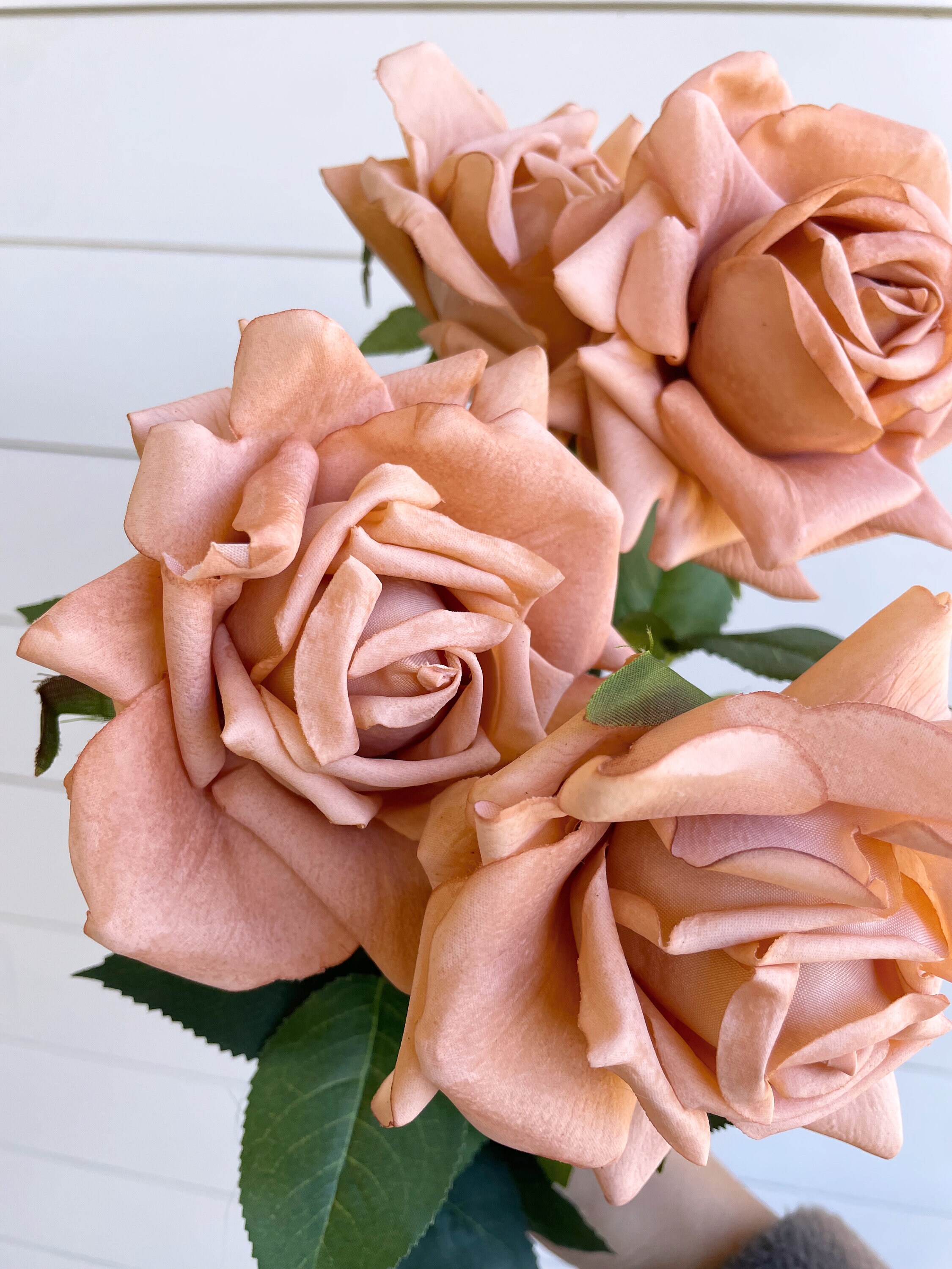 トップス rose Hot X-pression Rose-火热印象｜Netherlands Cut Rose – Ergongzy Roses
