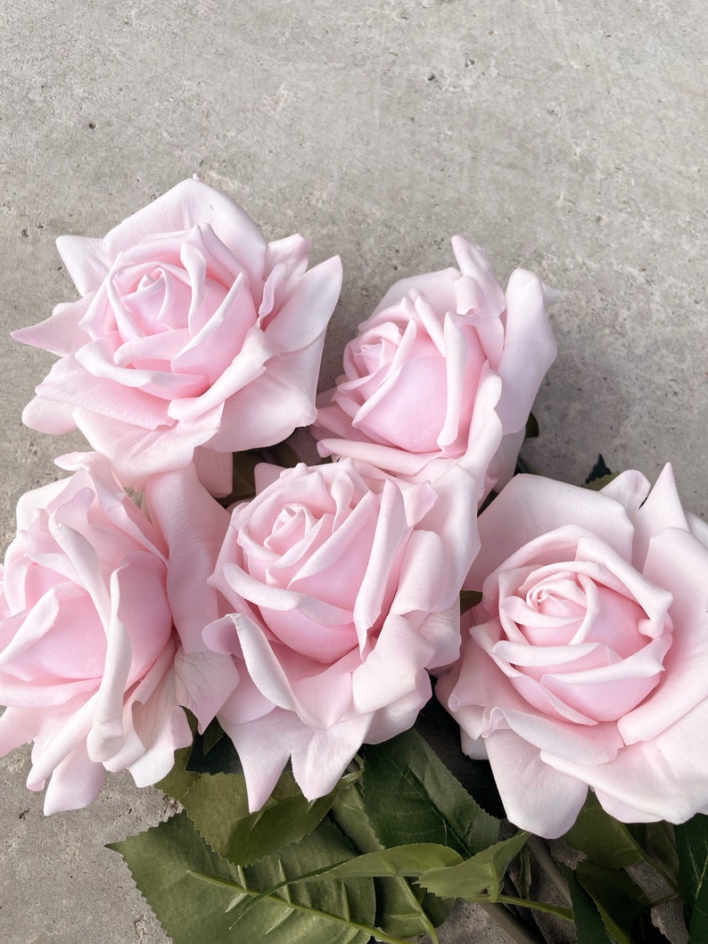Pink Roes Real Blush Pink Rose/ Real Touch Rose /latex Rose / Blush Rose/ Terracotta ...