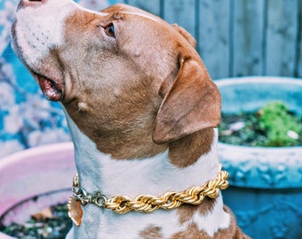 Dog Collar   Gold rope chain large big huge dookie necklace pug pitbull French bulldog English pit boxer