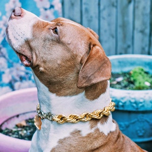 Gold dog chains for pitbulls outlet