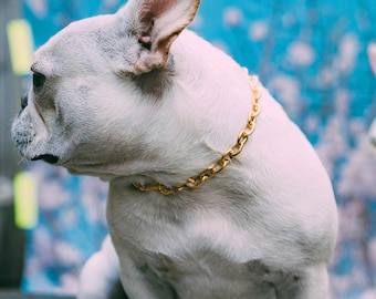 Dog Collar  "The Classic"  gold chain necklace pet