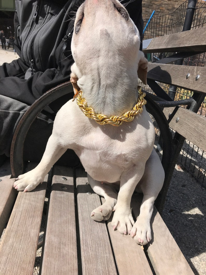 Dog Collar Gold rope chain large big huge dookie necklace Etsy