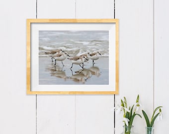 Sandpipers in the Surf, Coastal  North Carolina Photography - Coastal Beach Home Decor - Fine Art Print or Note Card Sets