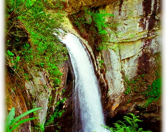 Looking Glass Falls, North Carolina Photography - Waterfall, Blue Ridge, Appalachian Mountains Home Decor Fine Art Print or Note Cards