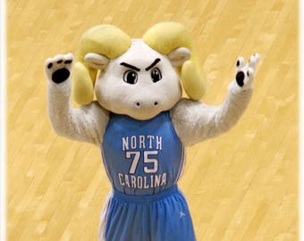 Fotografía de Rameses, Carolina del Norte, baloncesto de UNC-Chapel Hill - UNC-CH, decoración del hogar universitario, impresión artística o juego de tarjetas.