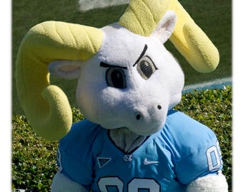 UNC-Chapel Hill Football Rameses, North Carolina Photography - UNC-CH, College Home Decor Fine Art Print or Note Card Set