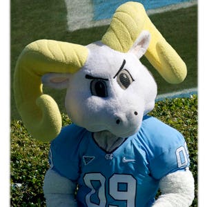 UNC-Chapel Hill Football Rameses, North Carolina Photography - UNC-CH, College Home Decor Fine Art Print or Note Card Set