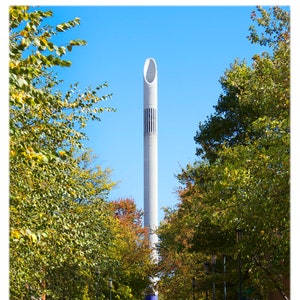 UNC Charlotte Belk Tower - Fotografía de Carolina del Norte, Collegiate Home Decor Fine Art Print o tarjetas de notas