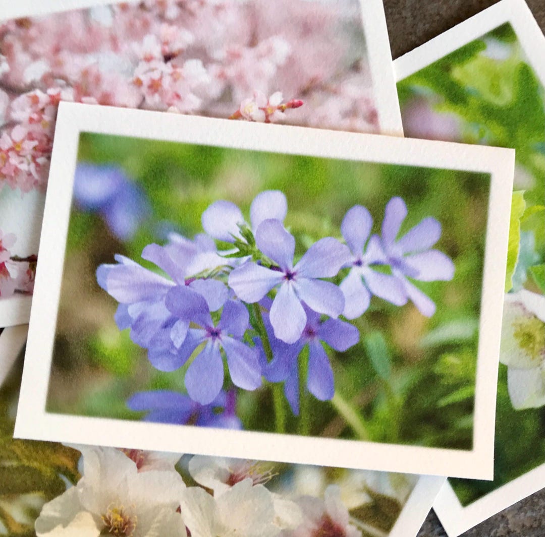 Springtime Flower Photography Note Cards - Set of 4 Different Flowers ...