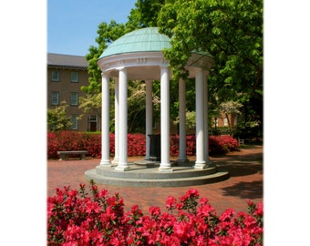 Fotografía de UNC Chapel Hill Old Well and Azaleas, Carolina del Norte - Impresión artística, Decoración del hogar - Papelería, Tarjetas de notas