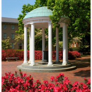 May include: A white, classical-style gazebo with a green dome roof and multiple white columns. The gazebo is surrounded by vibrant red flowers and lush green trees. A brick pathway and a building are visible in the background.