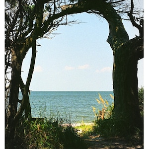 Springer's Point Passage, Ocracoke Island, Outer Banks, North Carolina Fotografie - Strand, Küstendekoration, Fine Art Print oder Grußkarten