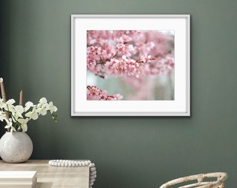 Cherry Blossoms, North Carolina Photography - Nature, Floral, Spring Home Decor Fine Art Print or Note Card Set