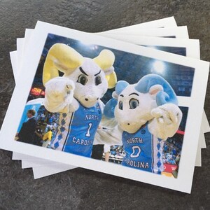 Puede incluir: Dos mascotas blancas que llevan camisetas azules y blancas con el texto "North Carolina" en ellas. Las mascotas son ambas carneros con cuernos amarillos y est&aacute;n posando para una foto.