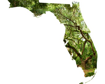 FL Map Art - Landmark Oak