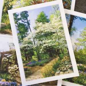 UNC-Chapel Hill Coker Arboretum Note Cards - Set of 4 - North Carolina Photography, Fine Art Stationery
