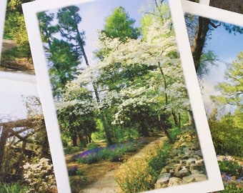 UNC-Chapel Hill Coker Arboretum Note Cards - Set of 4 - North Carolina Photography, Fine Art Stationery