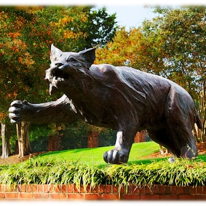 Estatua de wildcat de Davidson College - Fotografía de Carolina del Norte, Collegiate Home Decor Fine Art Print o tarjetas de notas