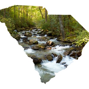 SC Shape - Middle Saluda River - South Carolina Photography Home Decor Fine Art Print of Note Cards