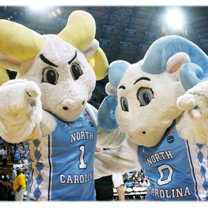 Puede incluir: Dos mascotas peludas blancas que llevan uniformes de baloncesto azules y blancos con el texto "North Carolina" y un n&uacute;mero en la parte delantera. La mascota de la izquierda lleva el n&uacute;mero "1" y tiene cuernos amarillos. La mascota de la derecha lleva el n&uacute;mero "2" y tiene cuernos azules.