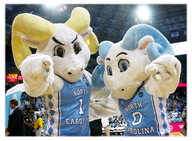 Puede incluir: Dos mascotas peludas blancas que llevan uniformes de baloncesto azules y blancos con el texto "North Carolina" y un n&uacute;mero en la parte delantera. La mascota de la izquierda lleva el n&uacute;mero "1" y tiene cuernos amarillos. La mascota de la derecha lleva el n&uacute;mero "2" y tiene cuernos azules.
