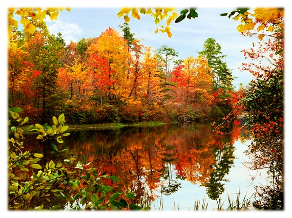 The Online Photographer: Reflections