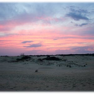 Pode incluir: Uma vista panorâmica de uma praia de areia com um céu de pôr do sol rosa e azul. A areia está coberta de pequenas plantas e arbustos.
