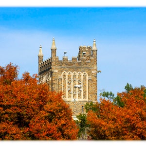 May include: A stone clock tower with a clock face and a blue sky in the background. The tower is surrounded by trees with orange and red leaves.