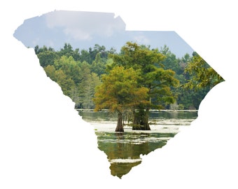 SC Shape - Cypress Trees in Lake Marion - South Carolina Photography Home Decor Fine Art Print or Note Cards