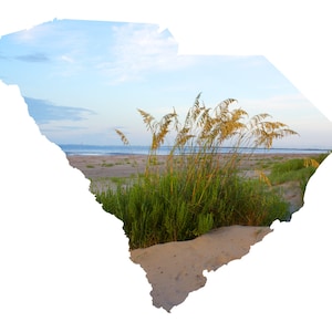 SC Shape - Sea Oats op Sullivan's Island - South Carolina Fotografie Home Decor Fine Art Print of Note Cards