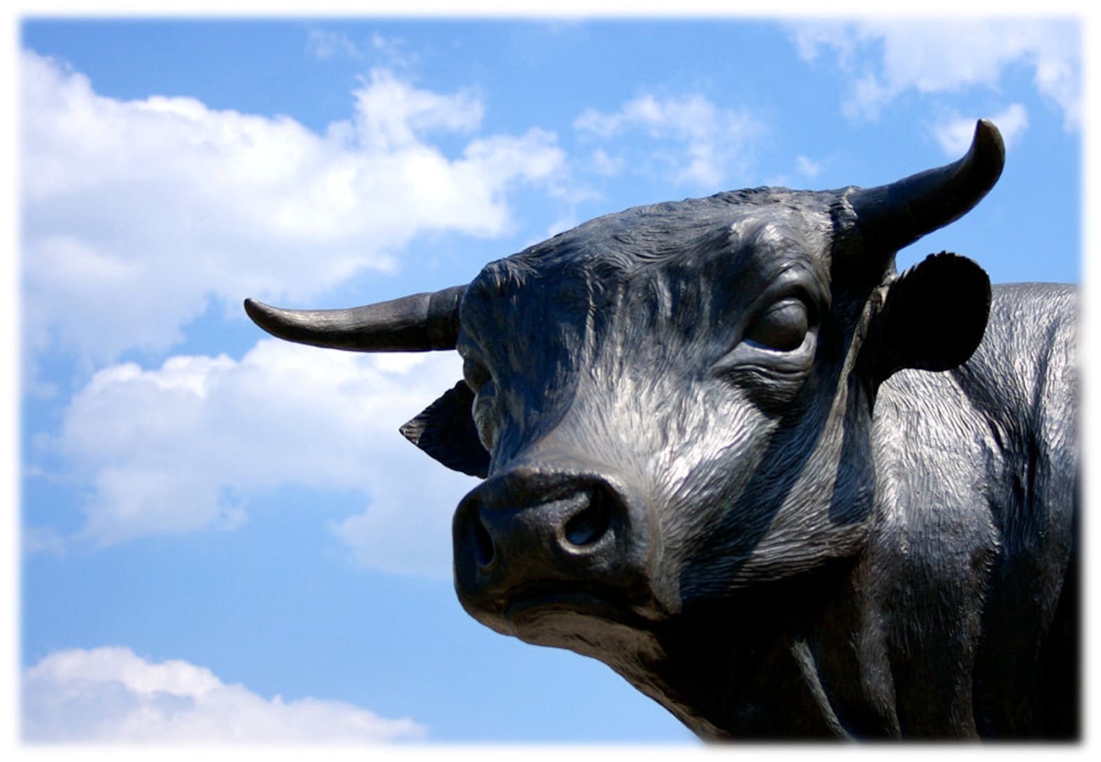 Durham Bull Statue, Downtown Durham, North Carolina Photography Urban