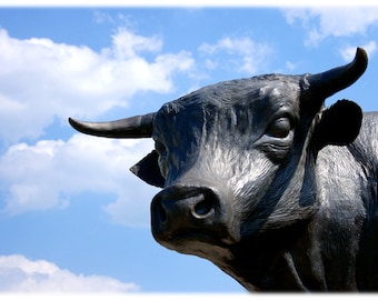 Durham Bull Statue, Downtown Durham, North Carolina Photography - Urban, City Home Decor Fine Art Print or Note Cards