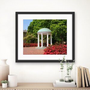 UNC Chapel Hill, Old Well and Azaleas, North Carolina Photography - Fine Art Print, Home Decor - Stationery, Note Cards
