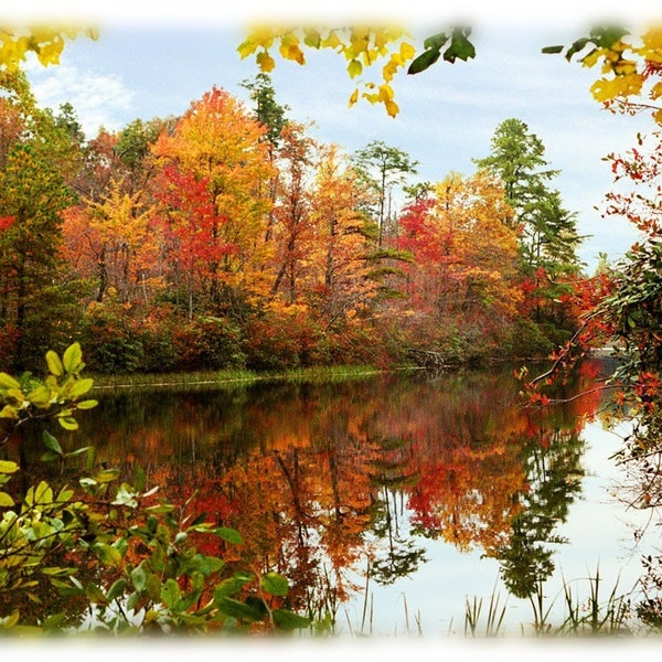 Hanging Rock Notecards