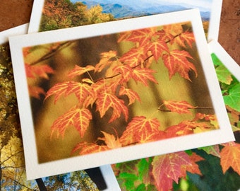Autumn Leaves Photography Note Cards - Set of 4 Different Photos - Nature, North Carolina Art Stationery