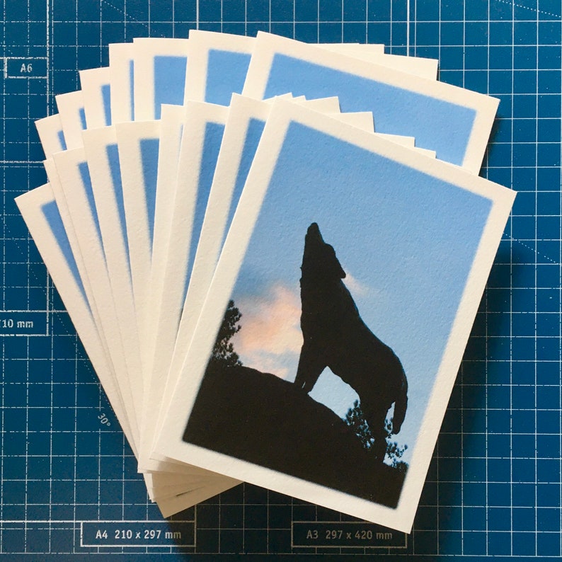 May include: A stack of blank greeting cards with a white border and a blue background. The top card features a silhouette of a wolf howling at the moon.