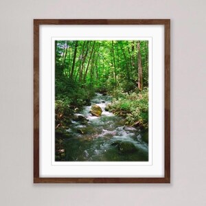 Forest Stream Photography - Joyce Kilmer Forest, Appalachian Mountains North Carolina - Home Decor Fine Art Print or Note Cards