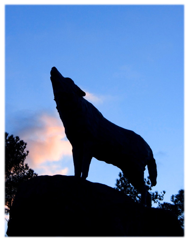 May include: Silhouette of a wolf howling at the sunset against a blue sky. The wolf is standing on a rock.