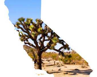 California Map Art - Joshua Tree - Golden State Photography Home Decor Fine Art Print or Note Cards