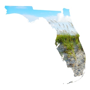 Florida Mapa Arte - Avena Marina, Isla Amelia - FL Fotografía Costera Decoración Casa Decor Bellas Artes Impresión o Tarjetas de Notas