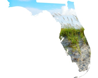 Florida Map Art - Sea Oats, Amelia Island - FL Coastal Photography Home Decor Fine Art Print or Note Cards