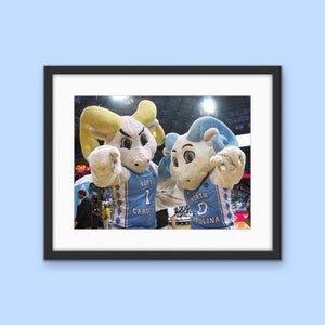 UNC-Chapel Hill Basketball Rameses andstecken in North Carolina Fotografie -College Home Decor Fine Art Print oder Briefkarte Set