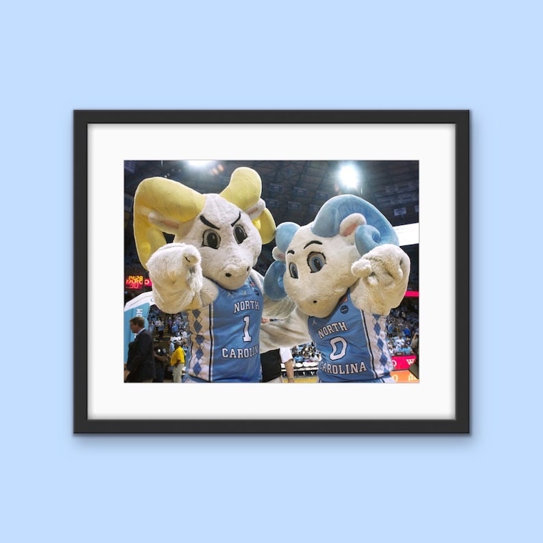 Puede incluir: Dos mascotas azules y blancas vestidas de carneros, con jerseys que dicen "North Carolina" y apuntando a la c&aacute;mara.