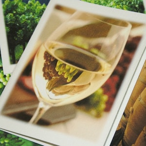 Notizkarten - Set von 4 verschiedenen Fotos - North Carolina Wine, Vineyards, Art Stationery