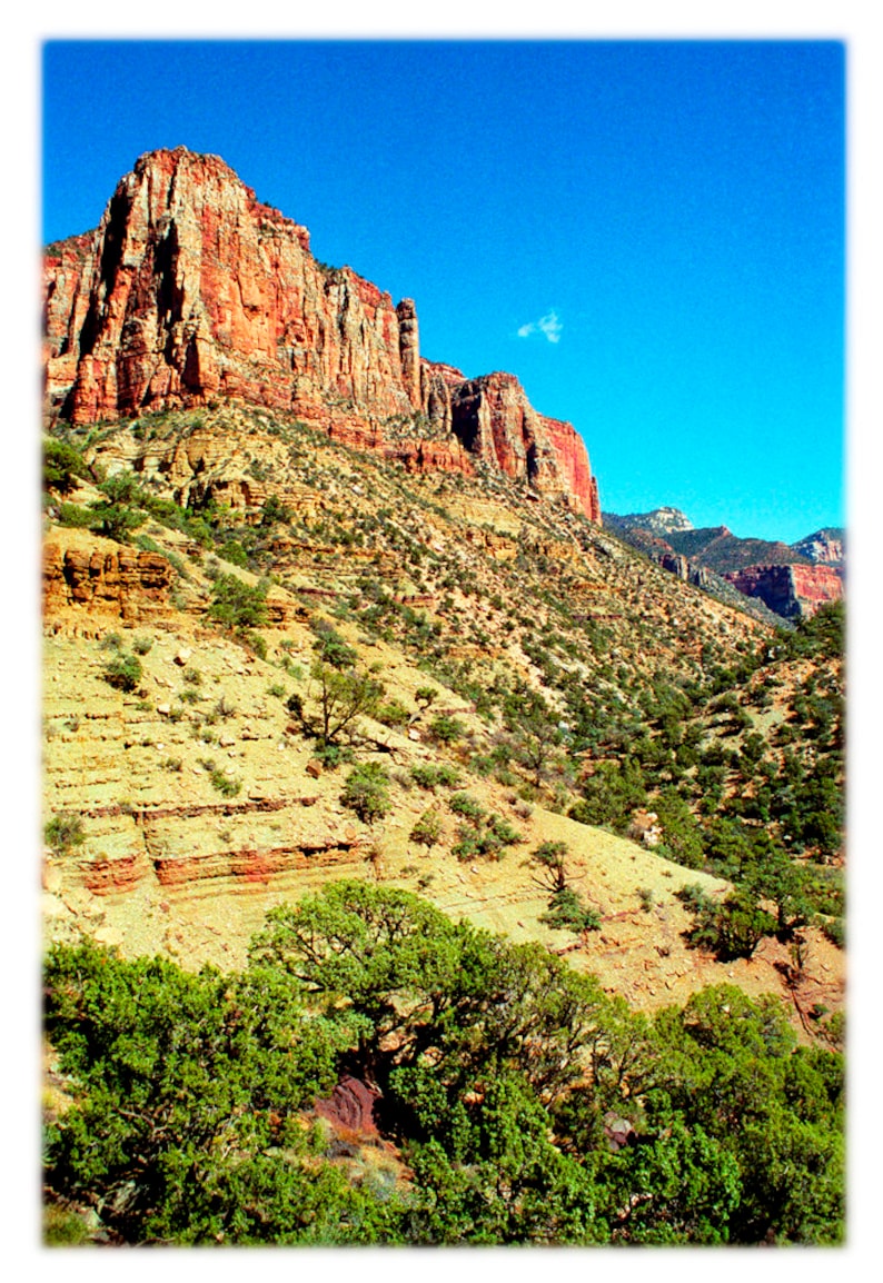 Bright Angel Canyon Grand Canyon Photography Southwestern Home Decor Fine Art Print or Note Cards