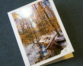 Winter Scenes Nature Photography Note Cards - Set of 4 Different Photos - North Carolina Art Seasonal Stationery