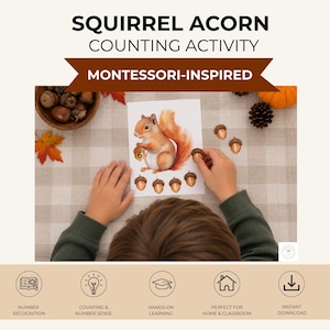 May include: A squirrel acorn counting activity card featuring a brown squirrel illustration with the number 6 on an acorn. The card includes several acorn graphics and is designed for educational use. The text reads SQUIRREL ACORN COUNTING ACTIVITY.