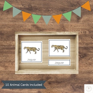 May include: Two cards with a picture of a jaguar on each card. The cards are in a wooden frame. The text "Jaguar" is printed on each card. The text "10 Animal Cards Included" is printed below the frame.